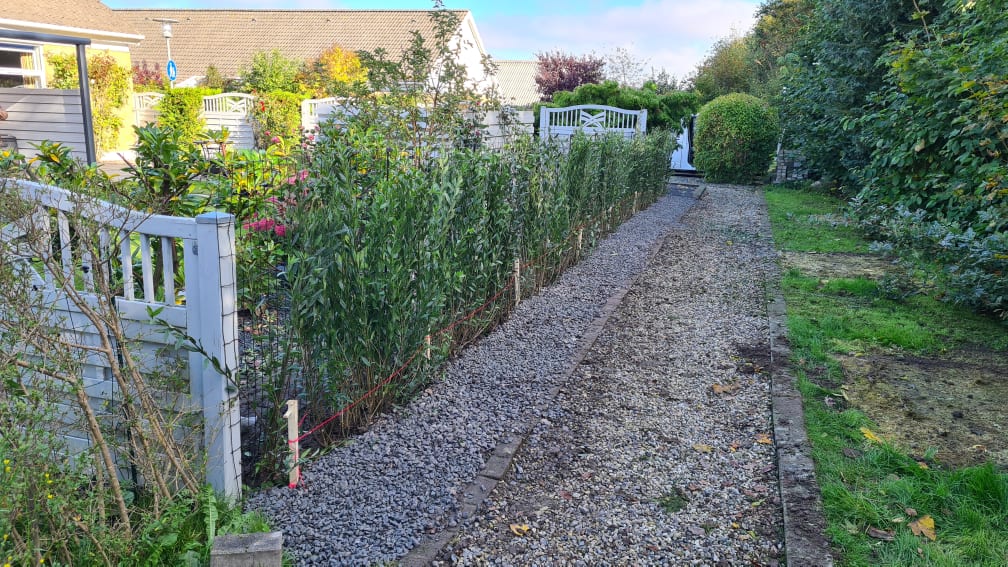 Beplantning i ørslev