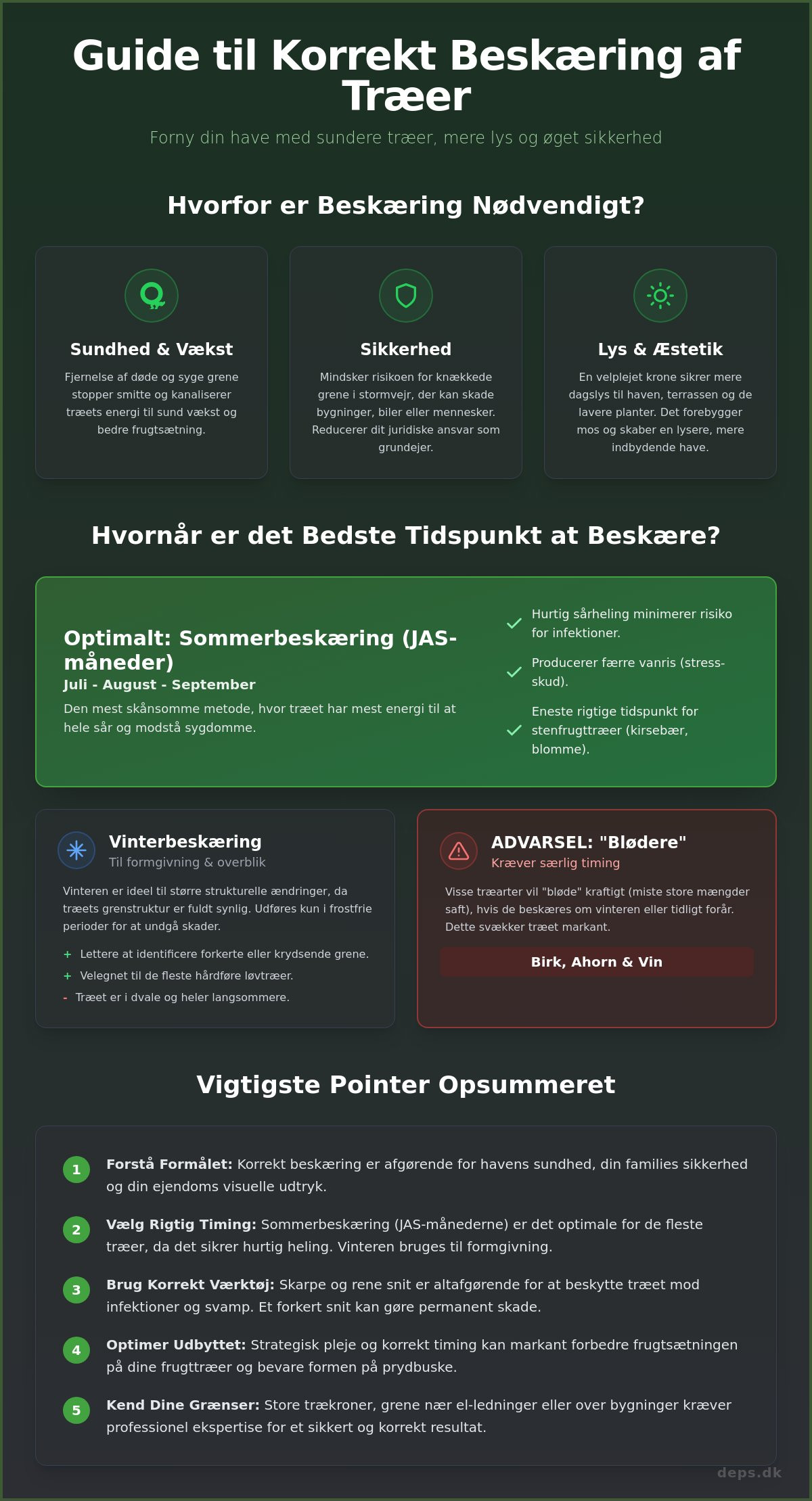 Beskæring af træer: Den ultimative guide til en sundere have i 2026