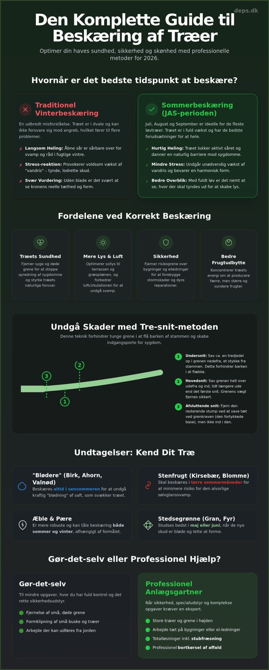 Beskæring af træer i 2026: Den komplette guide til en sund have